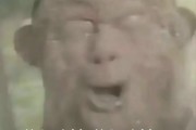 kaiyun管理-1-10！麻了，骑士麻了！最烂球队老大诞生